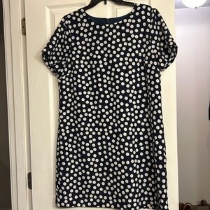JCrew Navy and White Polka Dot Dress